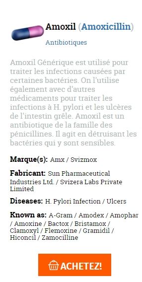 prix des pilules Amoxil