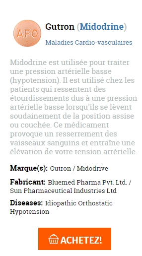 👉Gutron a faible cout💊